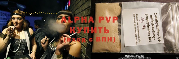 индика Богданович