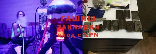 индика Богданович