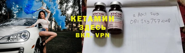 индика Богданович