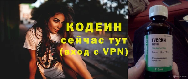 шишки Пересвет