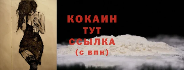 индика Богданович