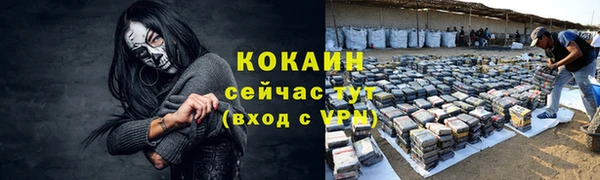 твердый Богородицк