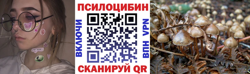 Псилоцибиновые грибы Magic Shrooms  мориарти телеграм  Болохово  OMG маркетплейс 